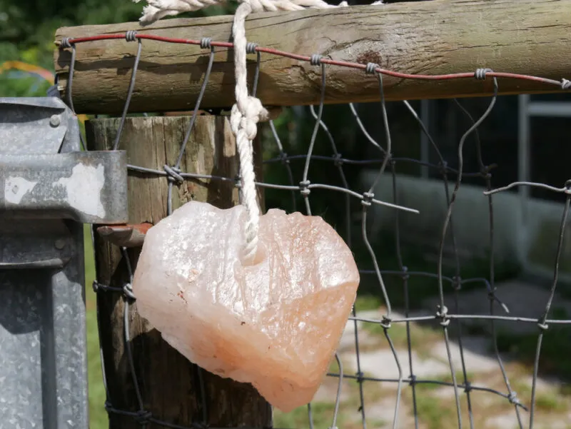 Hanging animal salt lick